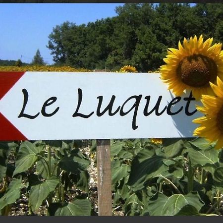 Gite Le Pigonnier Ecogite Le Luquet Saint Beauzeil 82150 Kültér fotó
