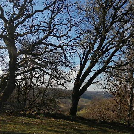 Gite Le Pigonnier Ecogite Le Luquet Saint Beauzeil 82150 Kültér fotó