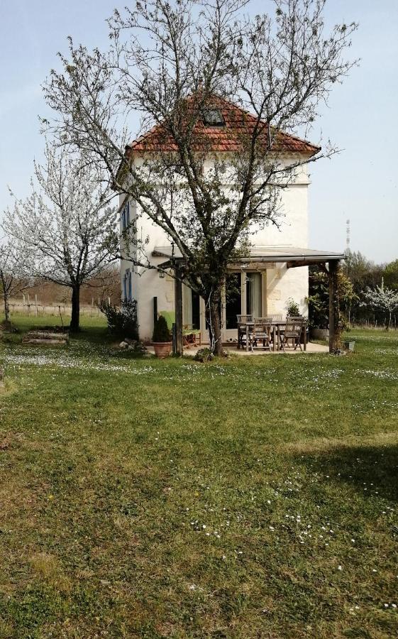 Gite Le Pigonnier Ecogite Le Luquet Saint Beauzeil 82150 Kültér fotó